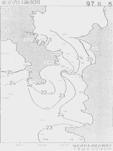 東京湾口海況図(1997/08/05)