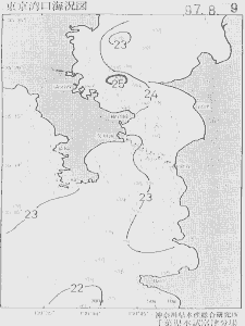 東京湾口海況図(1997/08/09)