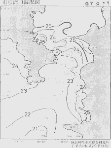 東京湾口海況図(1997/08/11)