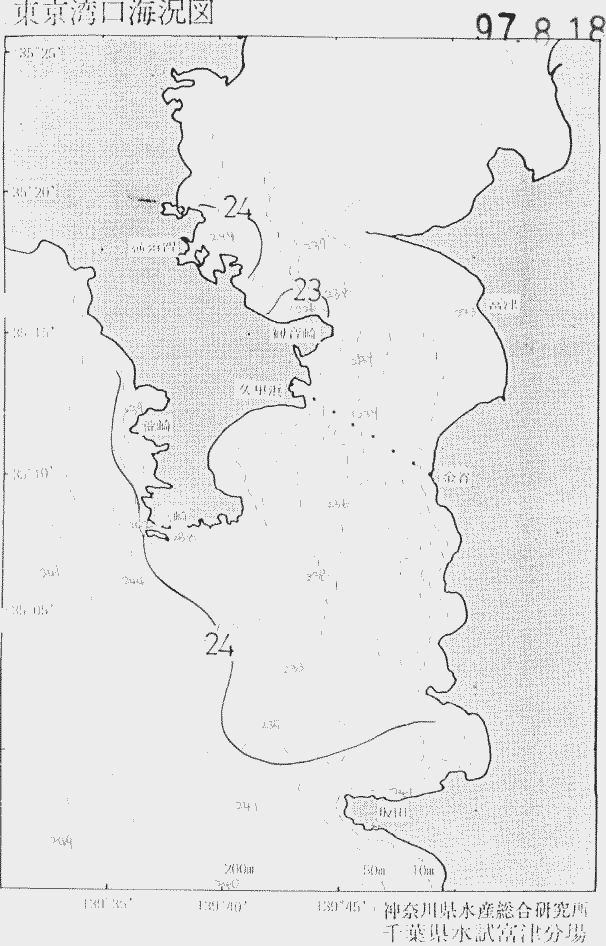海況図, 東京湾口海況図 検索結果, (水温分布 等を図示)