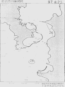 東京湾口海況図(1997/08/25)