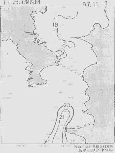 東京湾口海況図(1997/11/01)