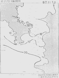 東京湾口海況図(1997/11/19)