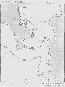 東京湾口海況図(1997/11/23)
