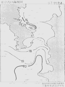 東京湾口海況図(1997/11/24)