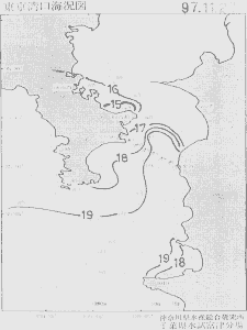 東京湾口海況図(1997/11/29)
