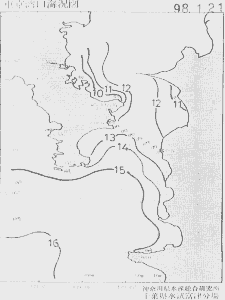 東京湾口海況図(1998/01/21)