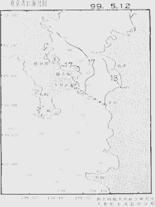 東京湾口海況図(1999/05/12)
