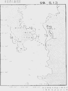 東京湾口海況図(1999/05/13)