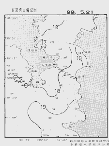 東京湾口海況図(1999/05/21)