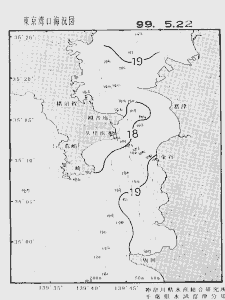 東京湾口海況図(1999/05/22)