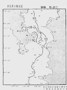 東京湾口海況図(1999/05/23)