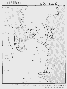 東京湾口海況図(1999/05/25)
