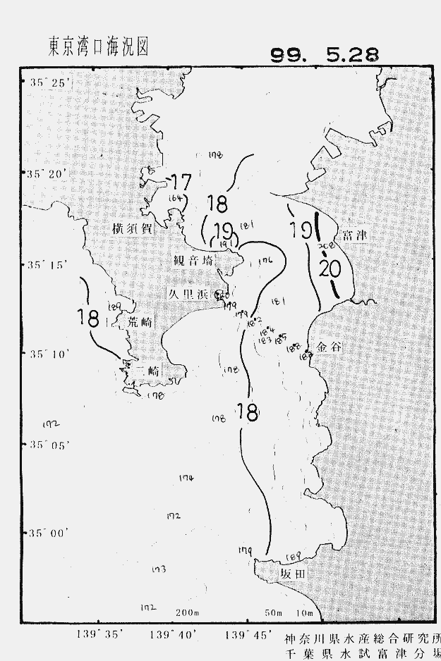 海況図, 東京湾口海況図 検索結果, (水温分布 等を図示)