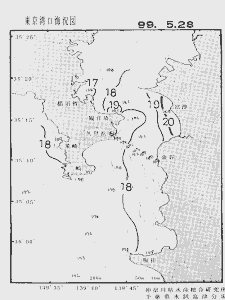 東京湾口海況図(1999/05/28)