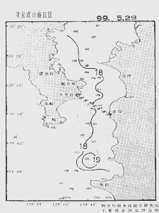 東京湾口海況図(1999/05/29)