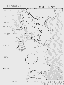 東京湾口海況図(1999/05/30)