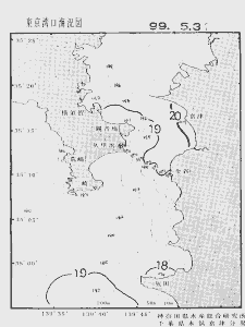 東京湾口海況図(1999/05/31)