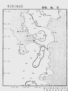 東京湾口海況図(1999/06/05)