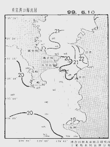 東京湾口海況図(1999/06/10)