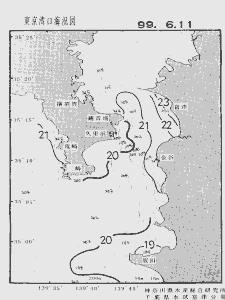 東京湾口海況図(1999/06/11)