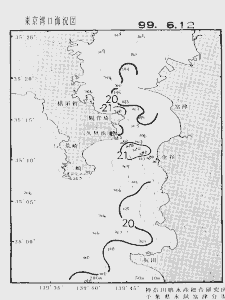 東京湾口海況図(1999/06/12)