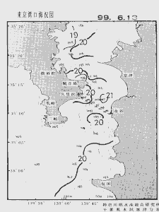 東京湾口海況図(1999/06/13)