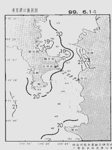 東京湾口海況図(1999/06/14)