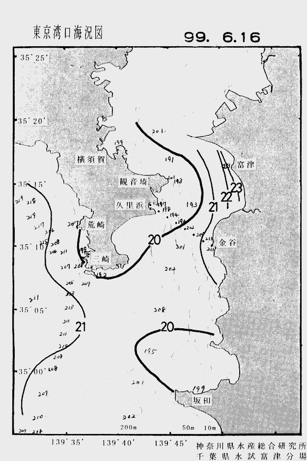 海況図, 東京湾口海況図 検索結果, (水温分布 等を図示)