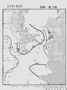 東京湾口海況図(1999/06/16)