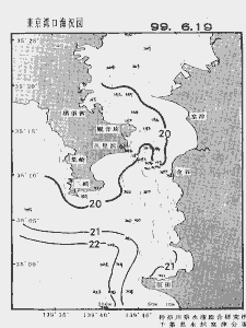東京湾口海況図(1999/06/19)