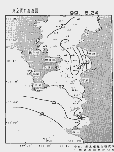 東京湾口海況図(1999/06/24)