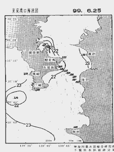 東京湾口海況図(1999/06/25)