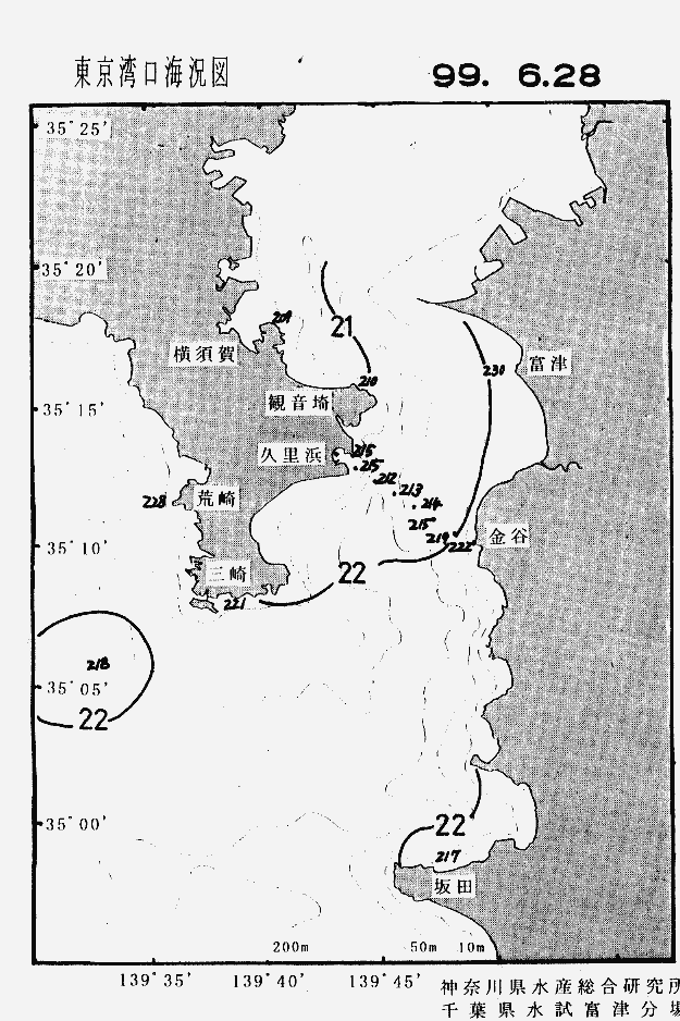海況図, 東京湾口海況図 検索結果, (水温分布 等を図示)