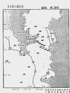 東京湾口海況図(1999/06/30)