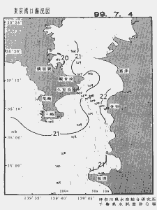 東京湾口海況図(1999/07/04)
