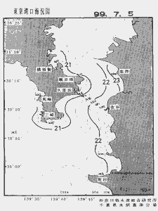 東京湾口海況図(1999/07/05)