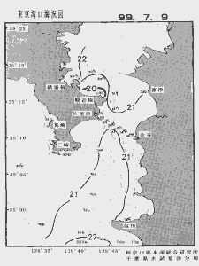 東京湾口海況図(1999/07/09)