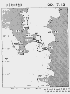 東京湾口海況図(1999/07/12)