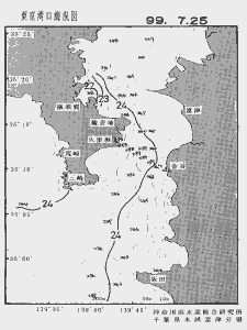 東京湾口海況図(1999/07/25)