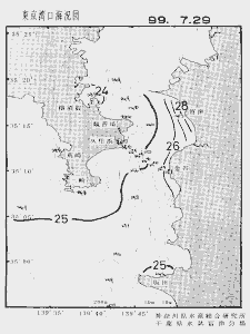 東京湾口海況図(1999/07/29)
