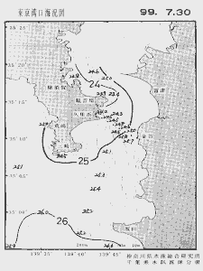 東京湾口海況図(1999/07/30)