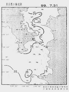 東京湾口海況図(1999/07/31)