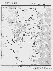 東京湾口海況図(1999/08/04)