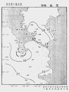 東京湾口海況図(1999/08/05)