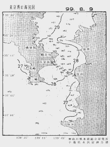 東京湾口海況図(1999/08/09)