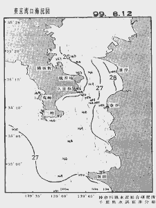 東京湾口海況図(1999/08/12)
