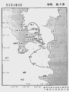 東京湾口海況図(1999/08/13)