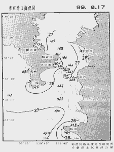 東京湾口海況図(1999/08/17)