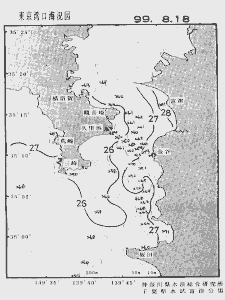 東京湾口海況図(1999/08/18)